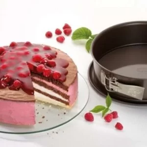 Dr. Oetker Springform Mit Emaille-Boden Back-Edition, 26 Cm 9