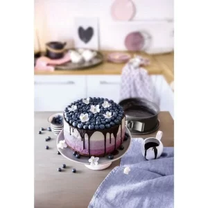 Kaiser Springform La Forme Plus 28 Cm 6